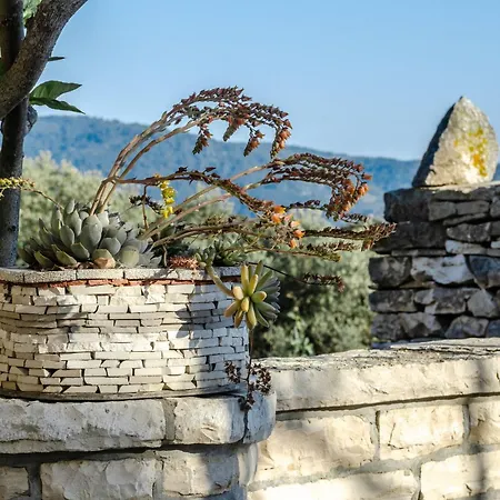 Caelum Vela Luka